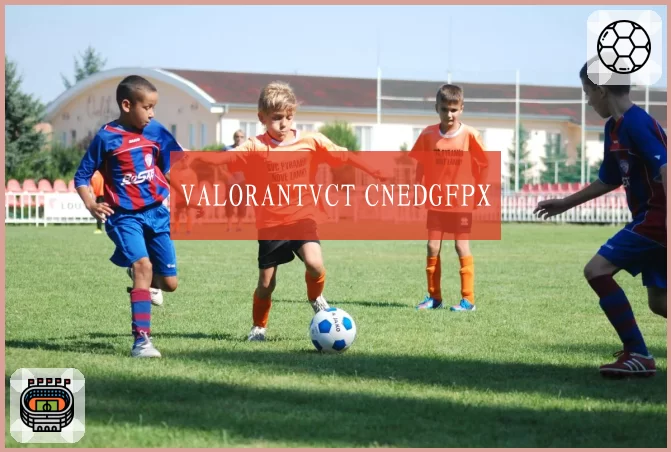 VALORANTVCT CNEDGFPX