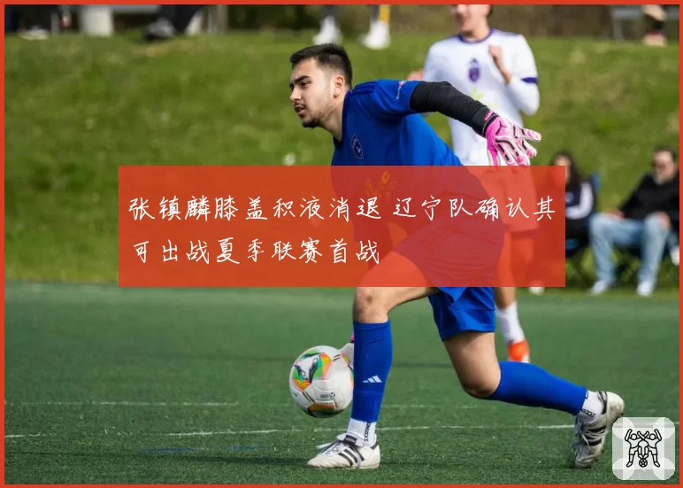 张镇麟膝盖积液消退 辽宁队确认其可出战夏季联赛首战