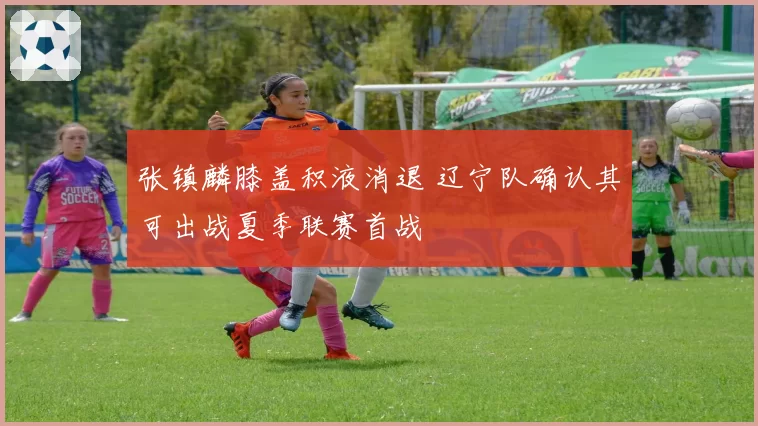 张镇麟膝盖积液消退 辽宁队确认其可出战夏季联赛首战