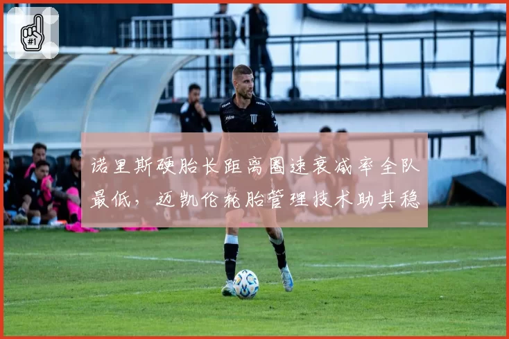 诺里斯硬胎长距离圈速衰减率全队最低，迈凯伦轮胎管理技术助其稳居积分榜第三__br_