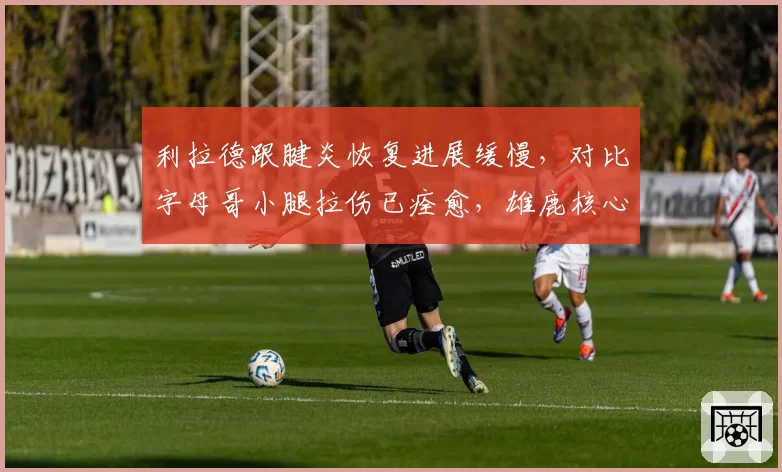 利拉德跟腱炎恢复进展缓慢，对比字母哥小腿拉伤已痊愈，雄鹿核心健康状态不均